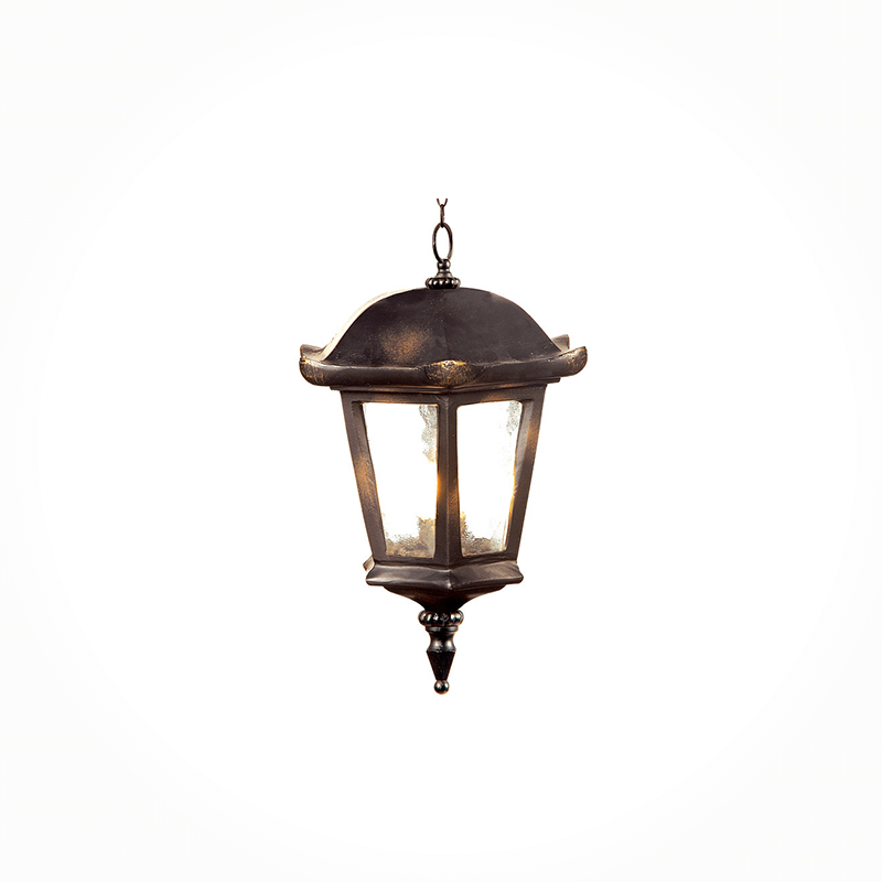 DH-1712(14#) Outdoor Hanging Light